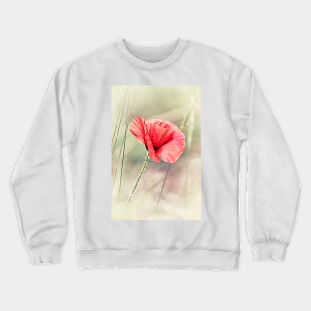 Wild Poppy Crewneck Sweatshirt by InspiraImage